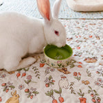Load image into Gallery viewer, Non-Tip Ceramic Rabbit Water Bowl & Food Dish – Wide Opening, Heavy & Easy to Clean