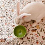 Food and Water Bowls