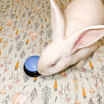 Load image into Gallery viewer, Recordable Easy-Press Rabbit Communication Training Button – Interactive &amp; Fun