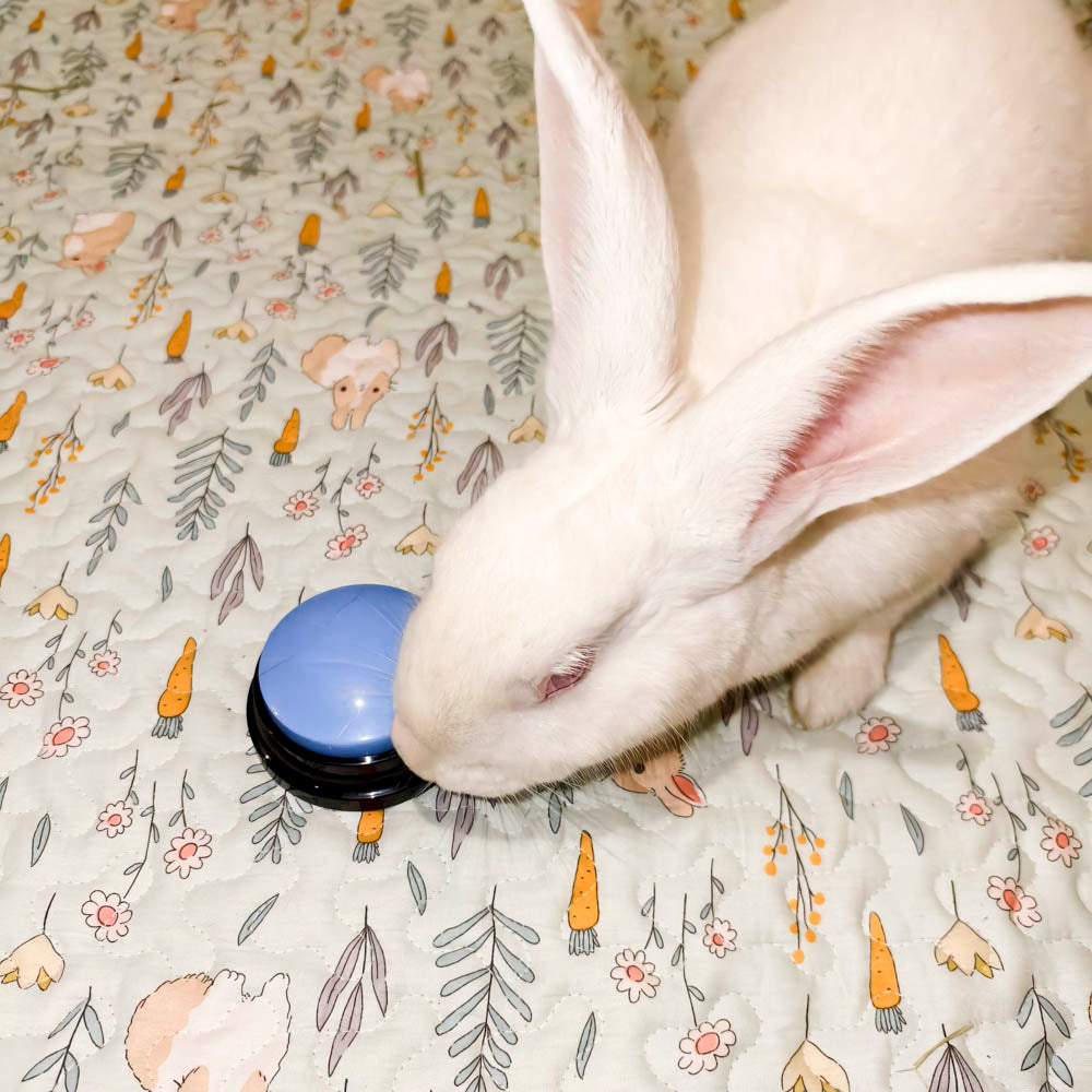 Recordable Easy-Press Rabbit Communication Training Button – Interactive & Fun