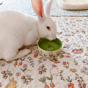 Non-Tip Ceramic Rabbit Water Bowl & Food Dish – Wide Opening, Heavy & Easy to Clean